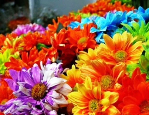 AMBIENTE