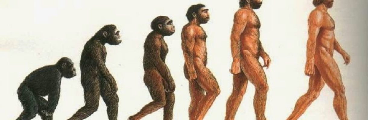 SCIMMIA NUDA