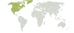 Ecozona neartica