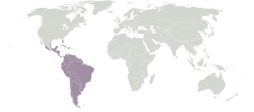 Ecozona neotropicale