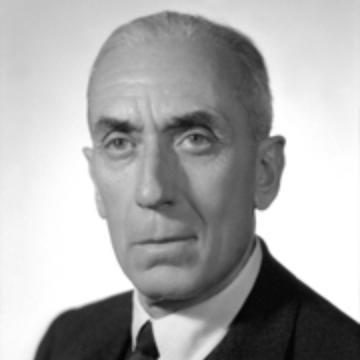 Raffaele Cadorna