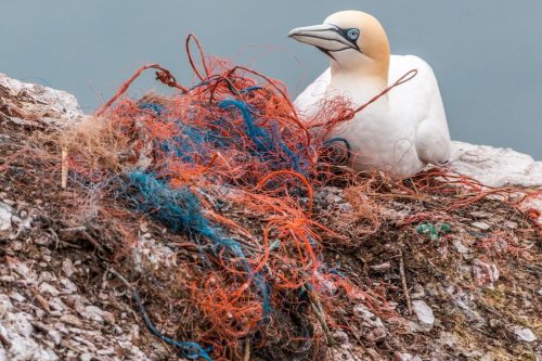 DISASTRI CAUSATI dall'UOMO